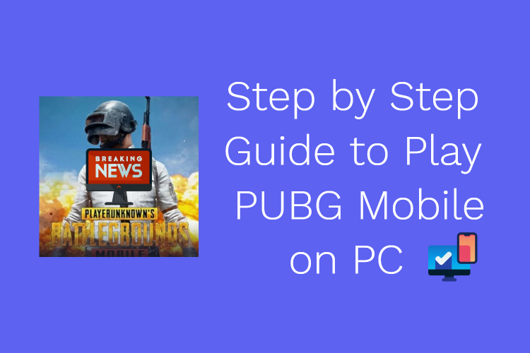 Step By Step Guide to Play PubG Mobile on Windows 10 PC